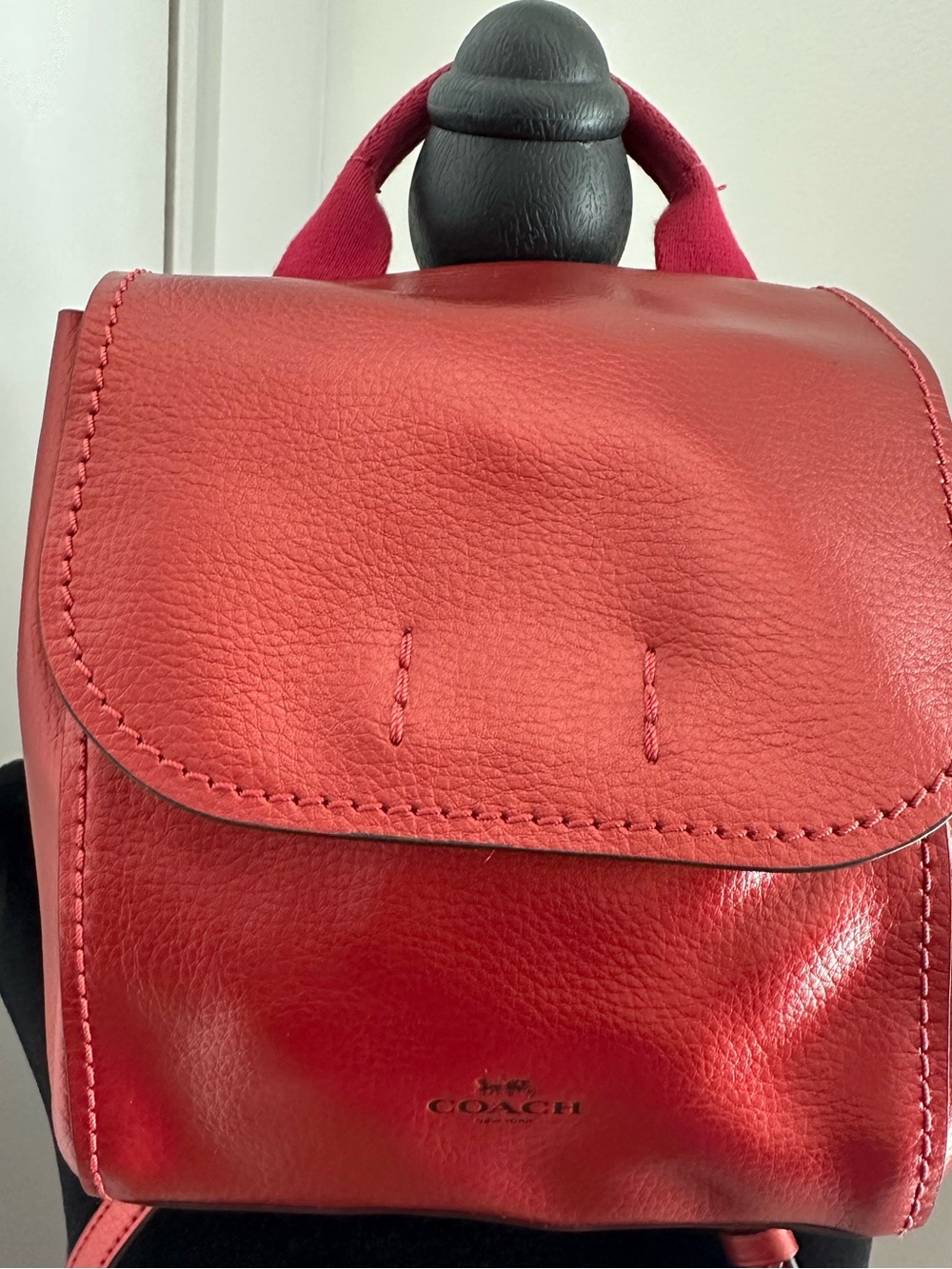 🍒Coach Metallic Red Leather Mini Derby Backpack with Top Handle suede interior